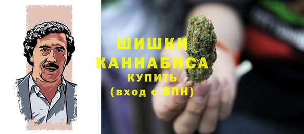 молекула духа Бугульма