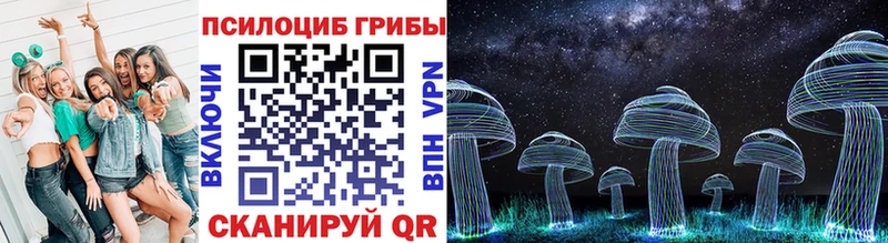 закладки  Ковдор  Псилоцибиновые грибы мицелий 